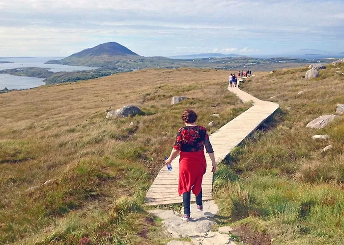 Апартаменты 705 *